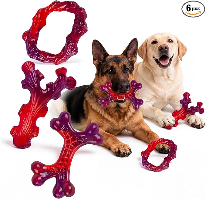 Frienhund 6-Pack Indestructible Dog Toys for Large Breed: Dog Toys for Aggressive Chewers, Nylon Dog Chew Bones for Large Dogs, Dog, Irresistible Beef Flavor