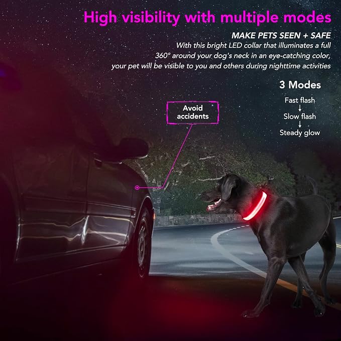 Light Up Dog Collar, Rechargeable USB Collar, Waterproof, Luminous LED Collar, Adjustable, Super Bright, Night Walking for Small Medium Large Dogs, Pink, M