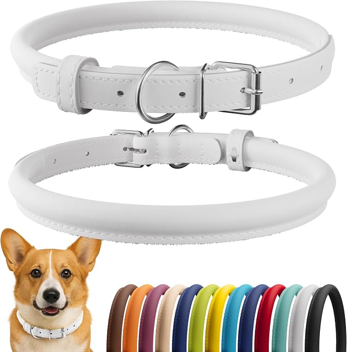 CollarDirect Rolled Leather Dog Collar, Soft Padded Round Puppy Collar, Handmade Genuine Leather Collar Dog Small Large Cat Collars 13 Colors (12-15 Inch, White Smooth)