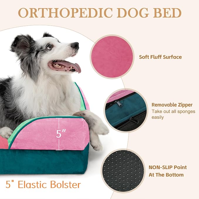Comfort Expression Orthopedic Dog Bed for Extra Large Dogs 42x30 Inch, Waterproof Egg Crate Foam XL Pet Bed with Bolsters, Dog Couch with Washable Cover & Non-Slip Bottom, Mint-Berry Dream