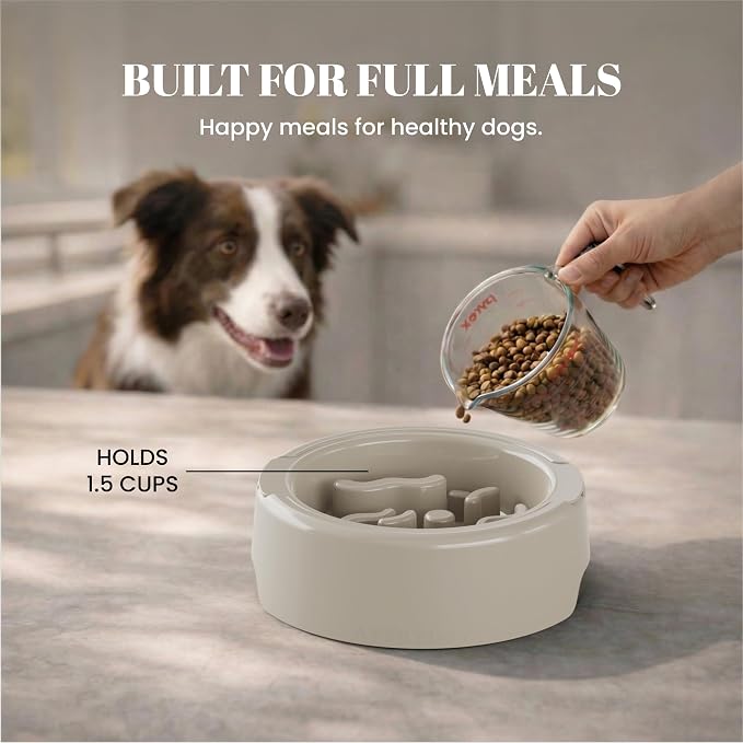 AVERYDAY 3 Pack Slow Feeder Dog Bowl Set, Two Weighted Maze Insert Bowls, Anti-Slip Changeable Puzzle Feeding Bowl for Wet Dry & Raw Dog Food, Slow Eating Deep Pet Food Dish for Medium & Large Breeds