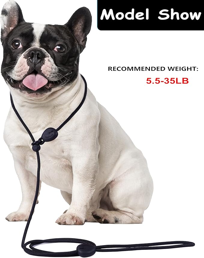6FT Heavy Duty Slip Lead - No Pull Dog Training Leash, Comfortable & Lightweight, Suitable for Small to Medium Dogs (Black)