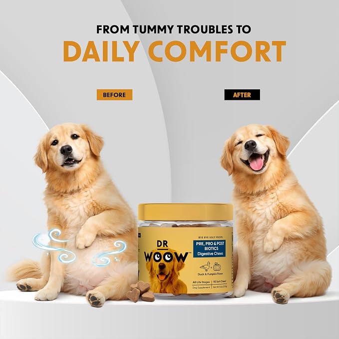 Probiotics Supplements for Dogs Soft Chews (90 CT) – Digestive Support + Gut Balance & Healthy Stool Support – Probiotics + Digestive Enzymes – Duck & Pumpkin Flavor – Made in USA