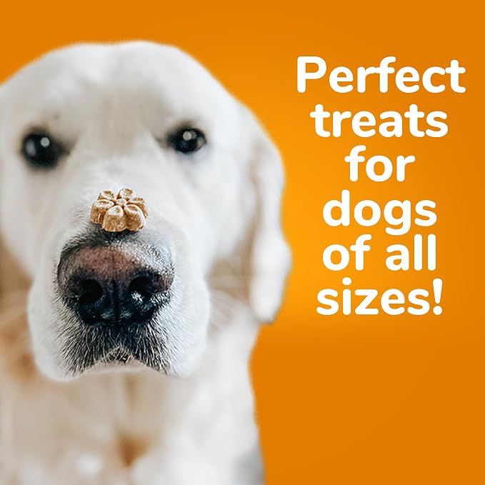 Fruitables Baked Dog Treats, Healthy Pumpkin Snacks for Dogs, Low Calorie & Delicious, No Wheat, Corn or Soy, Puppy Training Treats, Made in the USA, Pumpkin and Cranberry Flavor, 7oz (Pack of 2)