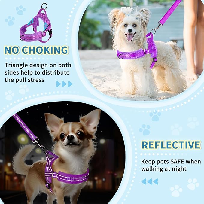 Lukovee No Pull Dog Harness and Leash Set, Soft Padded Small Dog Harness, Neck & Chest Adjustable Reflective Vest Puppy Harness with 4ft Lightweight Anti-Twist Dog Leash for Small Dogs (XS, Purple)
