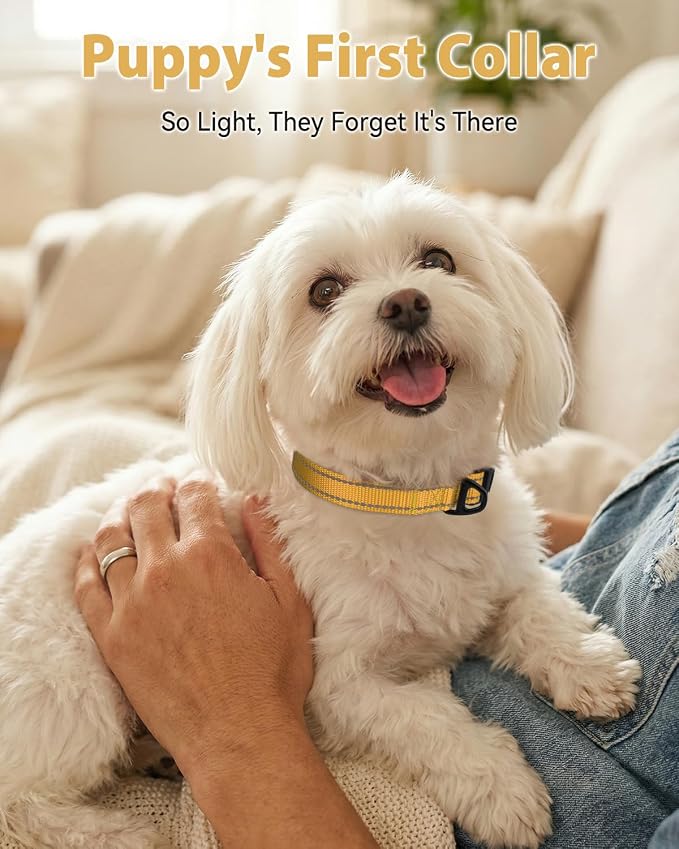 Joytale Dog Collars for Small Dogs, Feather-Light Double-Sided Reflective Nylon Collar for Night Safety, Adjustable Quick-Release for Growing Puppies, Khaki, S (5/8" Width)