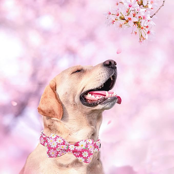 Elegant little tail Dog Collar, Floral Pattern Pet Collars with Bow Girl Cotton Bowtie Collars Spring Puppy Gift Adjustable Pet Collar for Medium Dogs