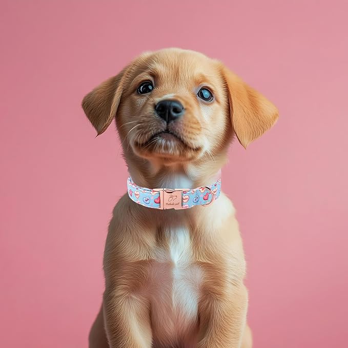 Valentines Dog Collar for Medium Dogs - Cute Blue Heart Pattern Puppy Collar Sweet Valentine Adjustable Heavy Duty Pet Collar with Metal Buckle M