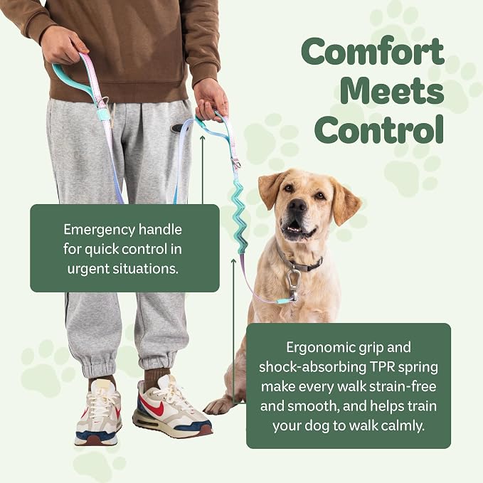 Desired Things Bungee Dog Leash Reflective Training Leash with Shock Absorbent Spring, Emergency Pull Handle, Collar Latch, D-Ring Buckle for Dog Treats, Poop Bags, Puppy Essentials - Pink and Blue