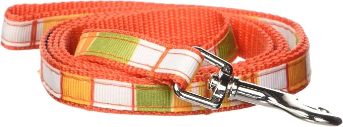 XSmall Lime/Coral Stripe Dog Leash: 1/2" Wide, 4ft Length - Made in USA.