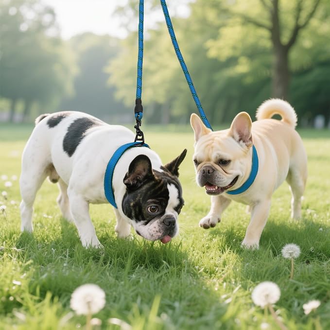 Taglory Double Dog Leash Coupler for Two Dogs, 1/3" Lightweight Dual Leash Extension for Small and Medium Dogs, No Tangle 360° Swivel, Reflective Rope, 30 Inch, Blue