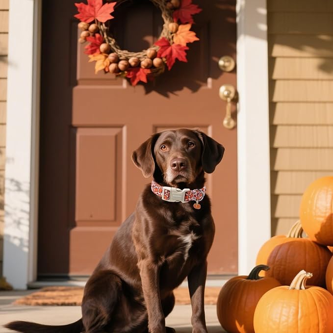 DOGWONG Pumpkin Dog Collar- Cute Pink Fall Dog Collars Adjustable Maple Fall Dog Collar for Small Medium Large Dogs L