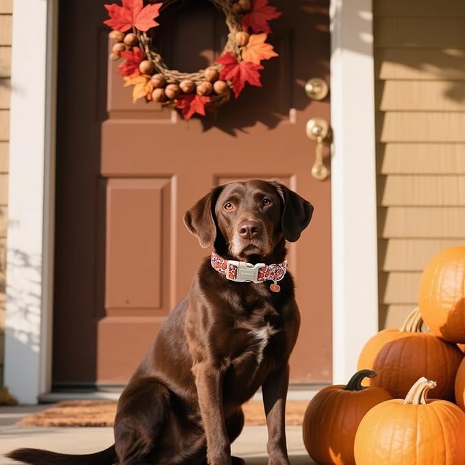 DOGWONG Pumpkin Dog Collar- Cute Pink Fall Dog Collars Adjustable Maple Fall Dog Collar for Small Medium Large Dogs XL