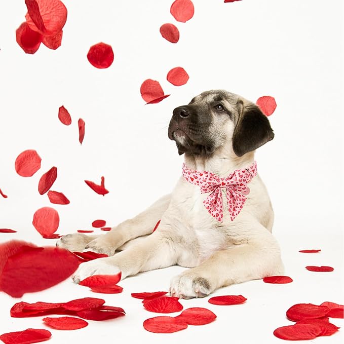 Valentine's Dog Collar & Bow Tie Set,UP URARA PUP Soft & Comfortable Pet Collar with Premium Plastic Buckle for Small, Medium, Large Dog,S