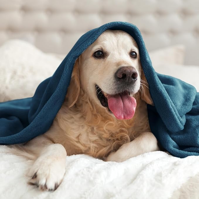 BEDELITE Fleece Blanket Mineral Blue Throw Blankets for Couch & Bed, Luxury Plush Cozy Fuzzy Blanket 50x60 inches, Super Soft Warm Lightweight Throw Blanket for Travel Camping