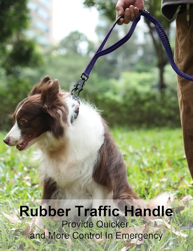 Heavy Duty Dog Leash, 4-6FT Shock Absorbing Dog Leashes with Traffic Handle and Comfortable Padded Handles, Advanced Easy Metal Clip, No Pull Reflective Leash for Medium Large Dogs that Pull (Blue)