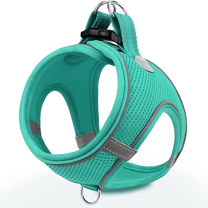 Joytale Small Dog Harness, Breathable Mesh Step-in Vest, Reflective Soft Padded Harnesses Small Sized Dog for Walking, Teal, S