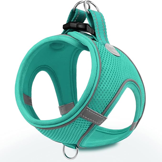 Joytale Small Dog Harness, Breathable Mesh Step-in Vest, Reflective Soft Padded Harnesses for Medium Dogs, Teal, XL