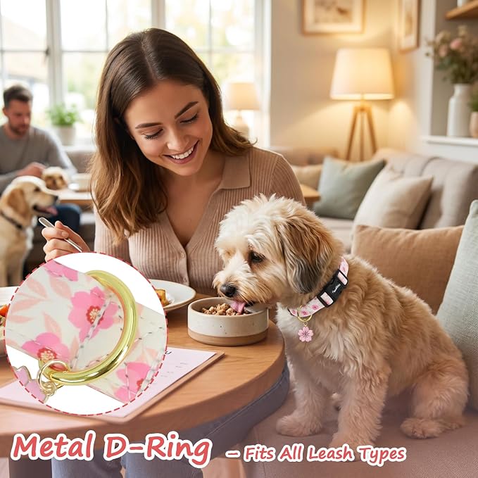 Dog Collar with Pink Cherry Blossom Patterns, Spring Summer Collection Dog Collar with Exquisite Pendant, Durable Adjustable Collars for Gifts & Daily Use-XS