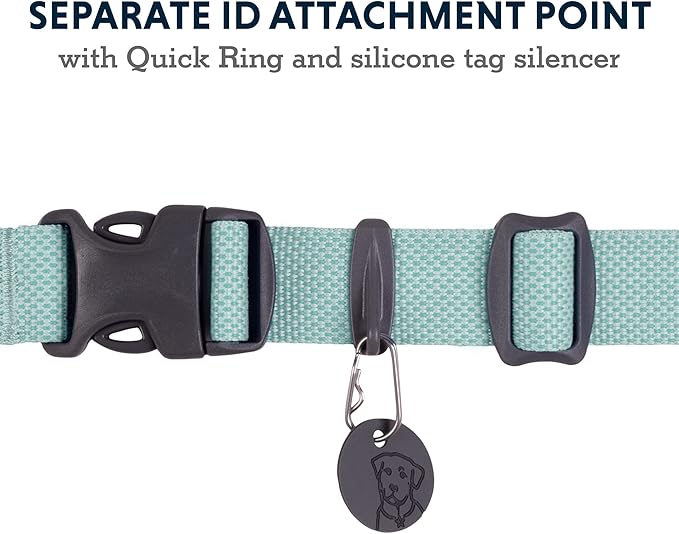 Ruffwear, Hi & Light Dog Collar, Ultralight Quick Release Buckle, Adjustable Trail Running Polyester Collar with Silent ID Attachment, Sage Green, 11"-14"