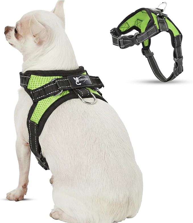 No Pull Reflective Adjustable Dog Harness with Handle- Comfortable Soft All Weather Mesh, Easy On Puppy Harness for Small Medium and Large Dogs (Green) X-Small