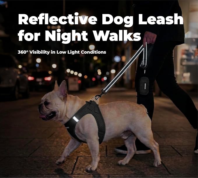 Best Pet Supplies Voyager Reflective Dog Leash or Collar with Neoprene Handle, for Small, Medium, and Large Breed Puppies, Cute and Heavy Duty for Walking, Running and Training - Black (Leash), L