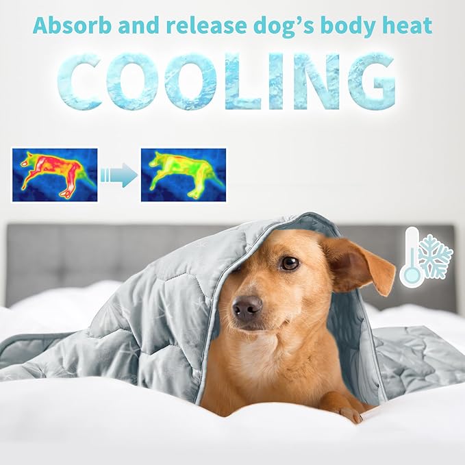 NWK Dog Cooling Blanket, Q-Max>0.345, Ice Silk Cool to Touch Material, Reversible Breathable Bed Cover, Furniture Protector Couch Sofa for Summer, Machine Washable (Misty Gray, 40'' X 60'')