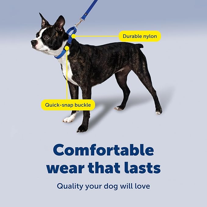 PetSafe Martingale Dog Collar with Quick-Snap Buckle Large, 1 Inch, Black