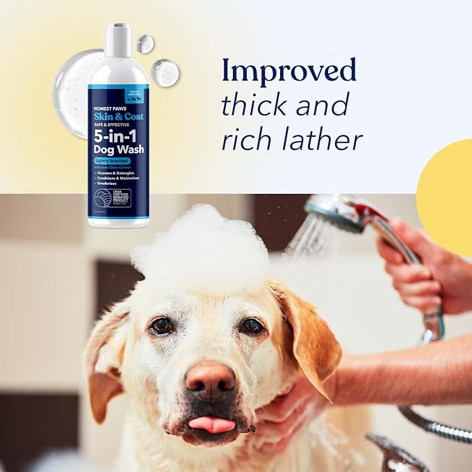 Honest Paws Dog Shampoo and Conditioner - Premium Dog Wash for Allergies Dry, Itchy, Moisturizing for Sensitive Skin - Sulfate Free Plant Based All Natural - Lightly Scented w/Odor Control -16 Fl Oz