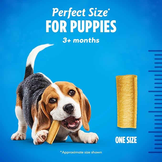 Dentalife Puppy Teething Dog Chews for Small Dogs 3 Months and Up,Chicken Flavor,17.3 oz.,19 Chews - 19 ct. Pouch,(Pack of 2)