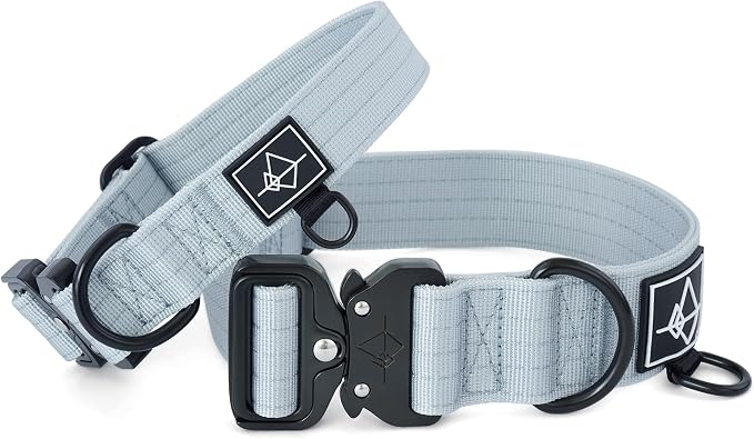 Made to ROAM Premium Dog Collar - Adjustable Heavy Duty Nylon Collar with Quick-Release Metal Buckle (Alaska Daybreak, Classic Size 2)