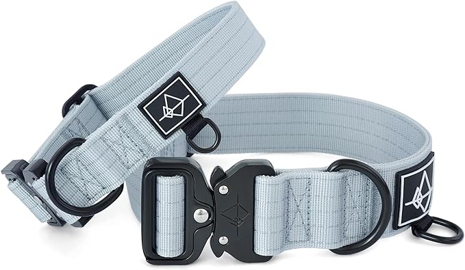 Made to ROAM Premium Dog Collar - Adjustable Heavy Duty Nylon Collar with Quick-Release Metal Buckle (Alaska Daybreak, Classic Size 4)