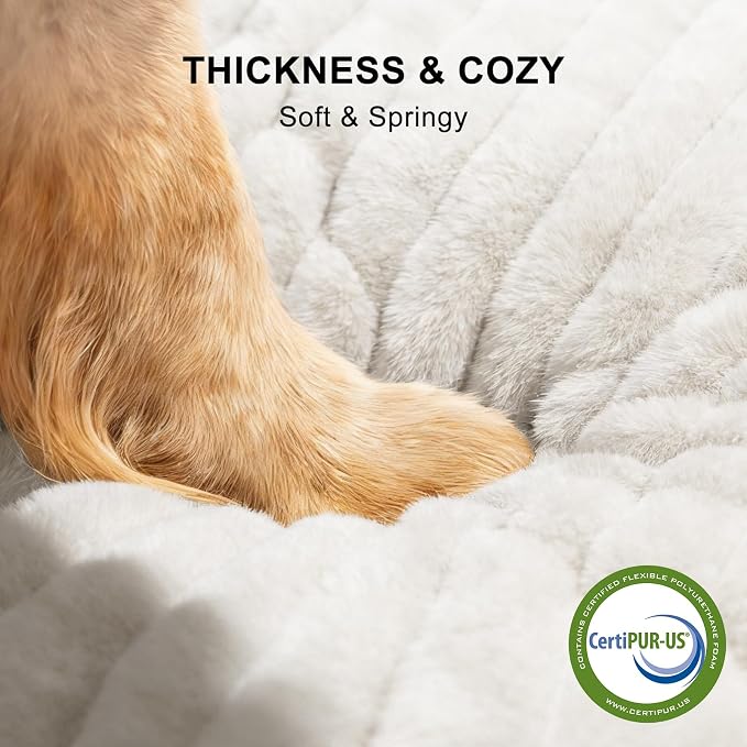FURTIME Dog Bed for Small Dogs, Washable Orthopedic Dog Bed with Removable Cover, Rectangle Soft Calming Sleeping Puppy Bed Durable Pet Cuddler with Anti-Slip Bottom, Cream, S (20"x19"x6")