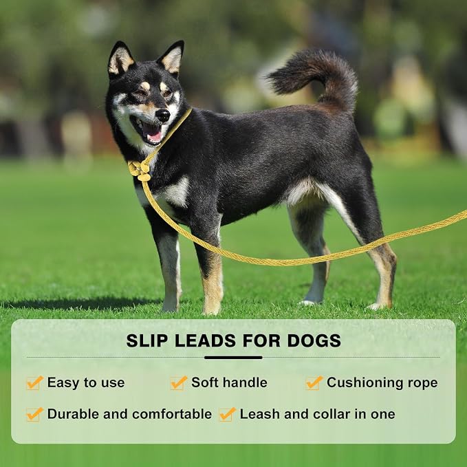Lynxking Dog Leash Slip Lead Reflective Breathable Rope Comfortable Strong No Pull Slip On Pet Training Lead for Dogs (Yellow, Large 1/2 inch x 6ft)