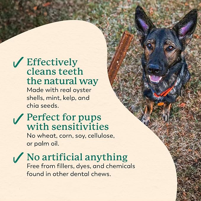 Dr. Harvey's Holistix Dental Chews for Dogs - Healthy Dog Teeth Cleaning & Fresh Breath Treats, Mint, Sweet Potato, Dried Kelp, Oyster Shells (24 Sticks)