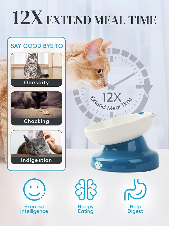 Y YHY Ceramic Slow Feeder Cat Bowl, Elevated Cat Bowl Tilted Design Slow Feeder for Dog and Cat for Dry and Wet Food, Blue