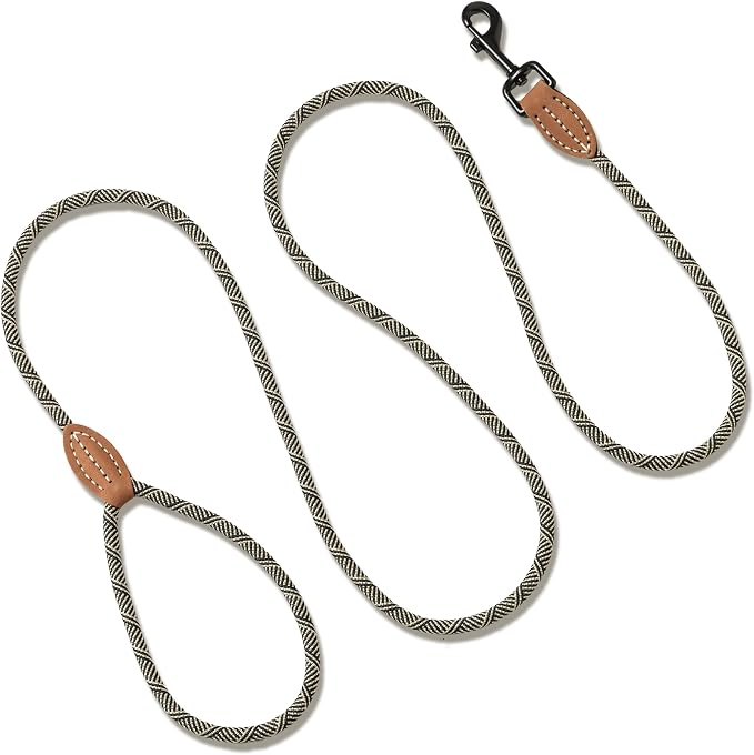 Mile High Life Small Dog Leash, Thin Rope Leash with Genuine Leather Connection and Heavy Duty Metal Clasp, Great for Small Medium Dogs(White,48 Inch-1/3)