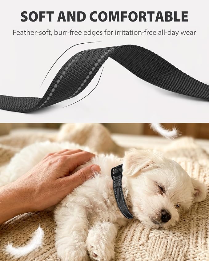 Joytale Dog Collars for Small Dogs, Feather-Light Double-Sided Reflective Nylon Collar for Night Safety, Adjustable Quick-Release for Growing Puppies, Black, S (5/8" Width)