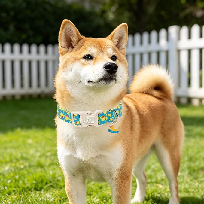 Cute Dog Collar Rubber Duck Girl Boy Dog Collars for Puppy Small Dogs - Lightweight Adjustable Male Female Summer Puppy Everyday Collar with Safety Buckle XS