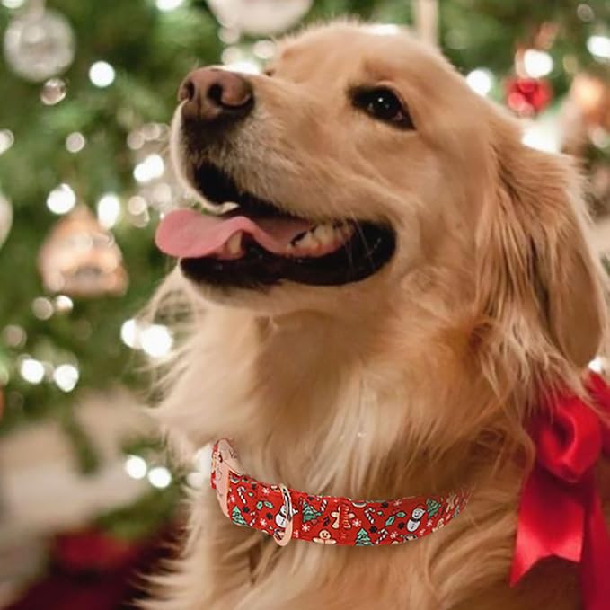 Christmas Dog Collar for Small Dogs - Design Cute Winter Holiday Collars Adjustable Red Christmas Pet Metal Buckle Collar for Puppy Girl Boy Female Dogs XS