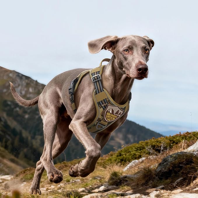rabbitgoo Tactical Dog Harness for Large Dogs No Pull Adjustable Military Vest with Handle MOLLE Reflective Heavy Duty Dog Vest for Walking Training Hunting Outdoor Medium Size Dog Desert Camo L