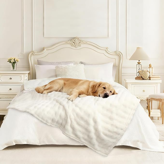 Dog Blankets Washable Pet Blanket - Fluffy Fuzzy Cat Puppy Blanket with Premium 300GSM 3D Fleece Bubble for Pet Kitten Doggy, Cream, 60x80IN