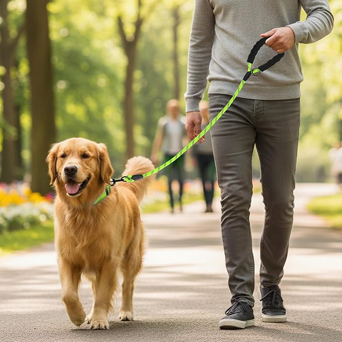 Heavy Duty Dog Leash - 4.9 FT for Large and Small Dogs - Strong Nylon, Comfortable Handle, Reflective Stitching - Ideal for Walking, Training, and Outdoor Activities, Green