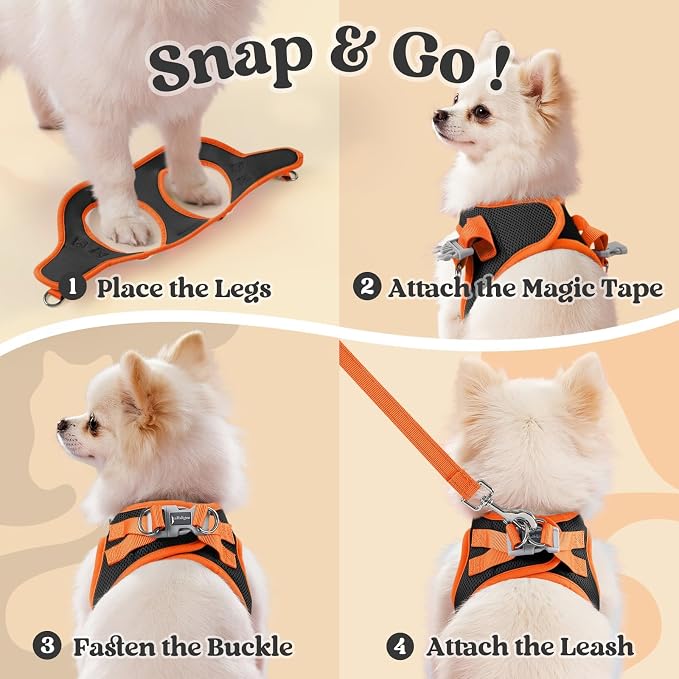 rabbitgoo Dog Harness Small Sized and Leash Set, Step-in Breathable Pet Harness, Soft Walking Reflective Puppy Vest for Small Dogs, Black & Orange, M