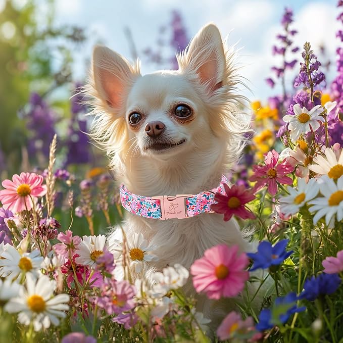Floral Dog Collar, Cute Spring Summer Girl Dog Collars - Soft Adjustable Everyday Collars for Small Medium Large Dogs, Rustic Wildflowers Female Dogs Collar XS