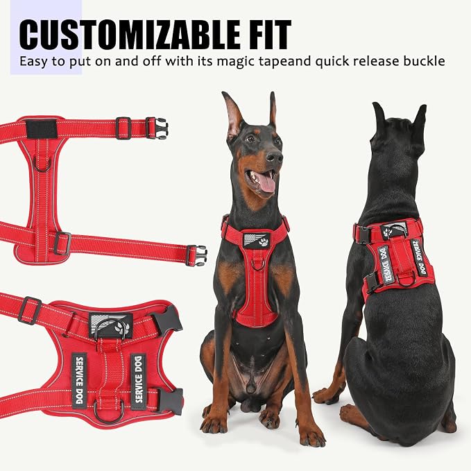 Service Dog Harness, Reflective Dog Vest Harness with 5 PCS Patches, Adjustable Soft Oxford Pet Harness, Inner Layer Mesh, Easy to Control for Dogs (All-RED, Medium (Pack of 1))