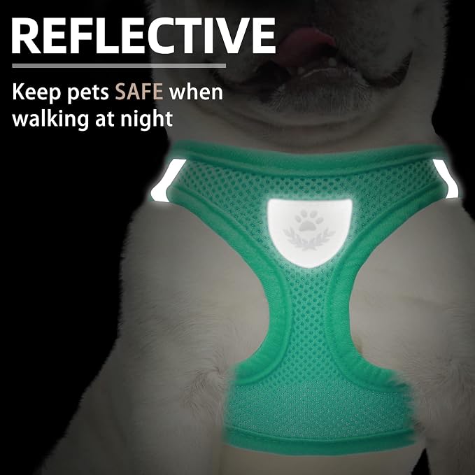 PUPTECK Adjustable Dog Harness Collar and Leash Set Step in No Pull Pet Harness for Small Medium Dogs Puppy and Cats Outdoor Walking Running, Soft Mesh Padded Reflective Vest Harnesses, Solid Green S