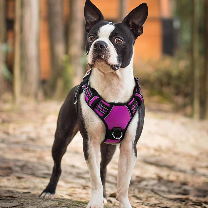 rabbitgoo Dog Harness Small Sized, 3 Buckles Easy On & Off No Pull Pet Vest, Soft Padded Walking Pet Harness with Control Handle, Adjustable and Reflective, Purple, S