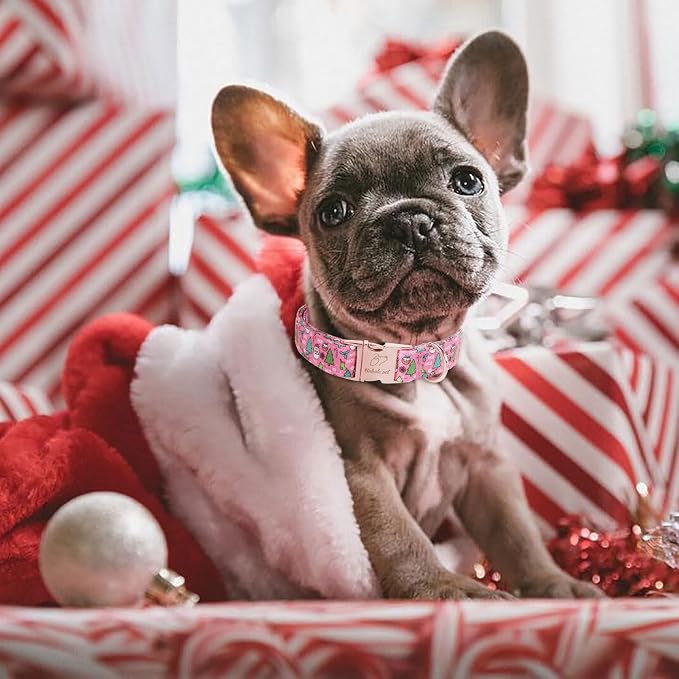 Christmas Dog Collar for Small Dogs - Design Cute Winter Holiday Collars Adjustable Santa Claus Pet Metal Buckle Collar for Puppy Girl Boy Female Dogs S