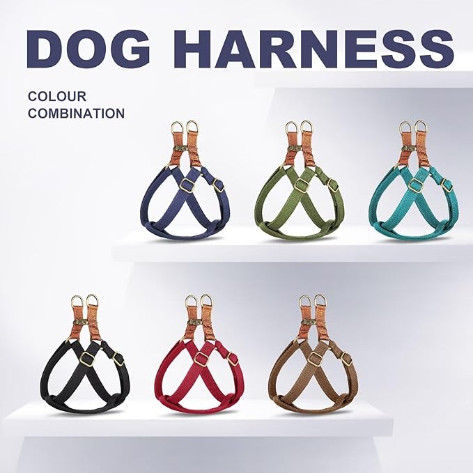 Didog Step in Dog Harness with Metal Buckles, Freedom Nylon Dog Halter Vests for Small Dogs Easy Walking Training(S:Chest 13-22", Green)